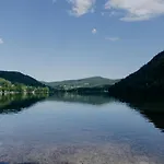 Les Myrtilles *
