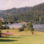Les Myrtilles * Xonrupt-Longemer