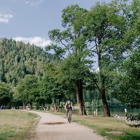 Les Myrtilles * Ксорюпт-Лонжме