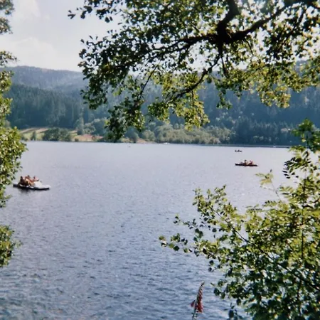 Les Myrtilles *