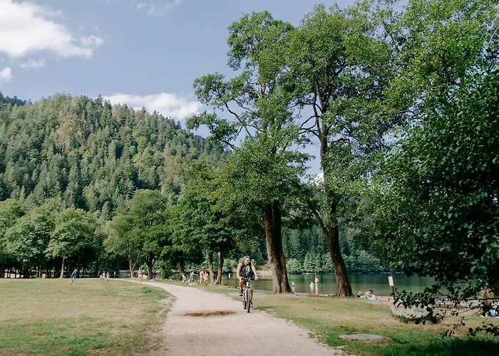 Les Myrtilles * Ксорюпт-Лонжме