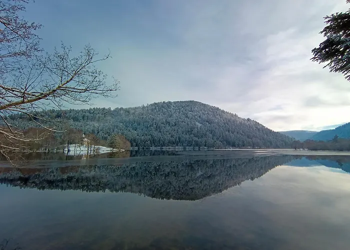 Les Myrtilles Ксорюпт-Лонжме