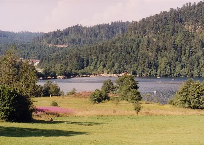 Les Myrtilles * Ксорюпт-Лонжме