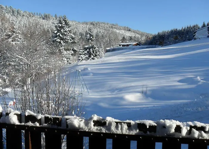 Les Myrtilles * Ксорюпт-Лонжме