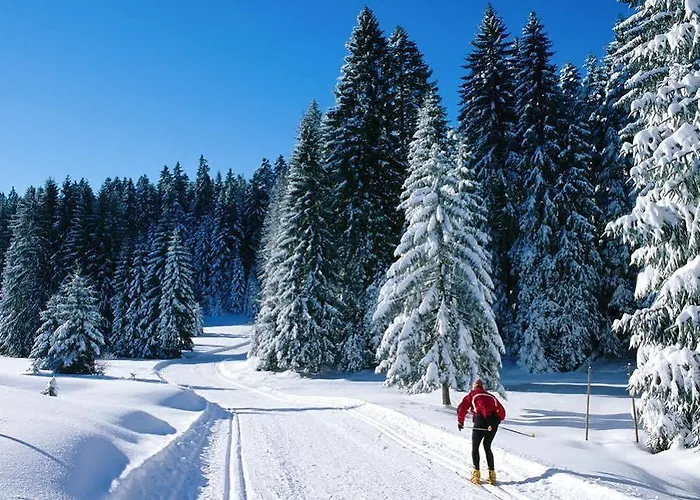 Апартаменты Les Myrtilles